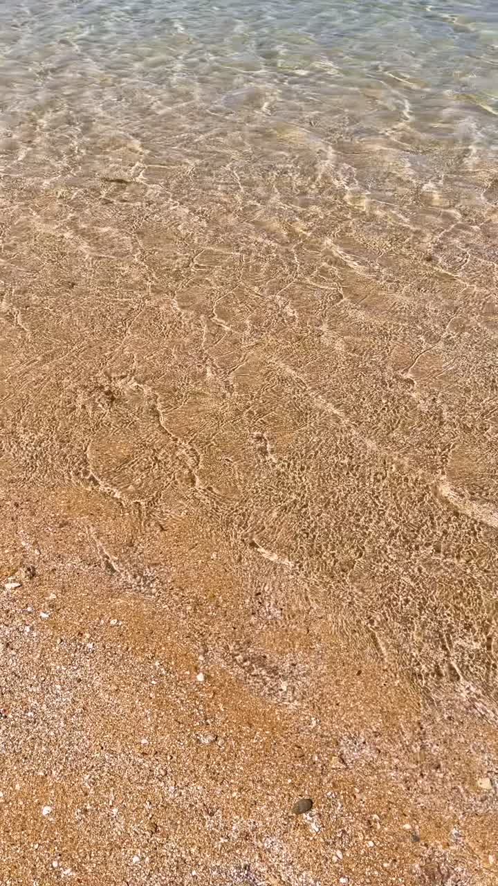 은 물 이 있는 모래 해변