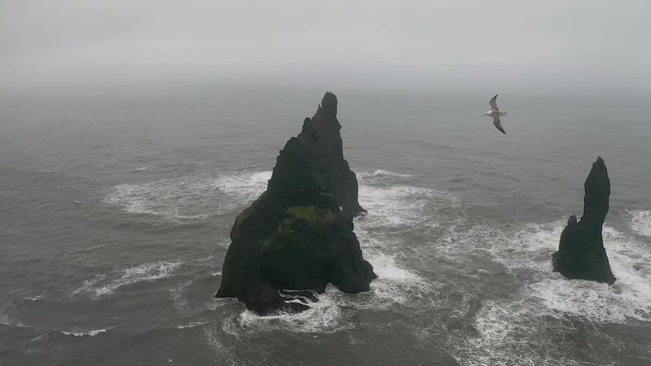Aerial view of the black volcanic beach and toes rocks on the ocean. Bird flying into shot. Black sand beach, Vík, Iceland
