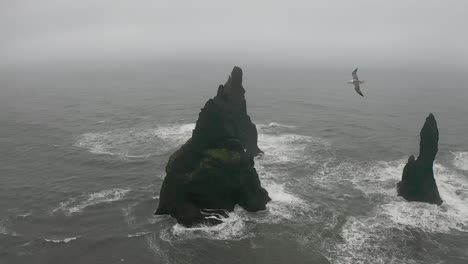 aerial view of the black volcanic beach and toes rocks on the ocean. bird flying into shot. black sand beach, vík, iceland