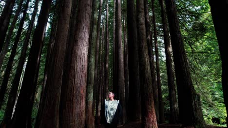 girl looking up at california redwood trees, drone flying near ground