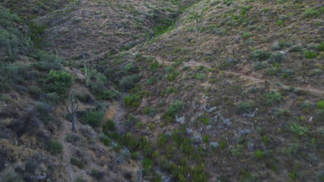 Terreno-Desértico-Montañoso-E-Irregular-Lleno-De-Cactus-Y-Arbustos-Silvestres