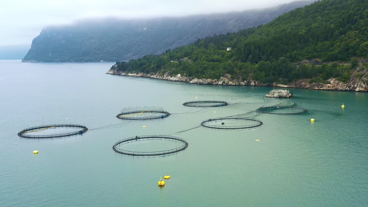 노르웨이에서 연어  ⁇ 시를 하는 공중 촬영