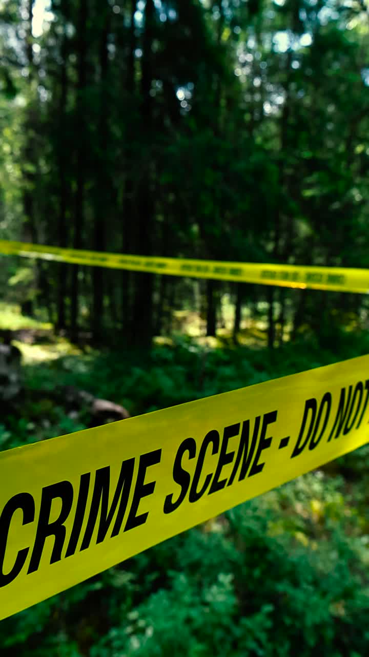 Vibrant yellow colored Crime Scene Do Not Enter ribbon tape in front of a blurry and bokeh background sunny forest at a crime scene. Tall dark colored green and black trees visible in the woods behind