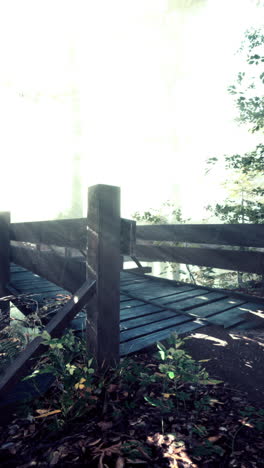puente de madera de bosque brumoso