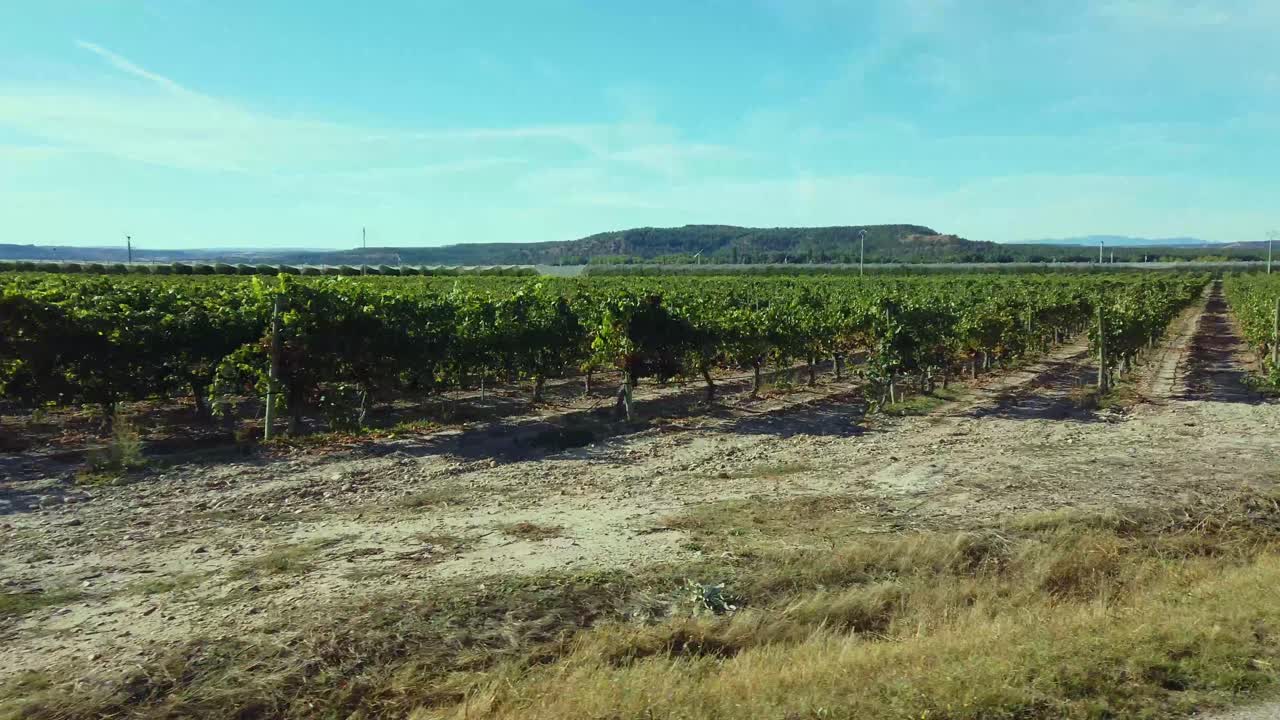 Passing acres of apple trees protected and covered in ripe apples farm in northern Spain