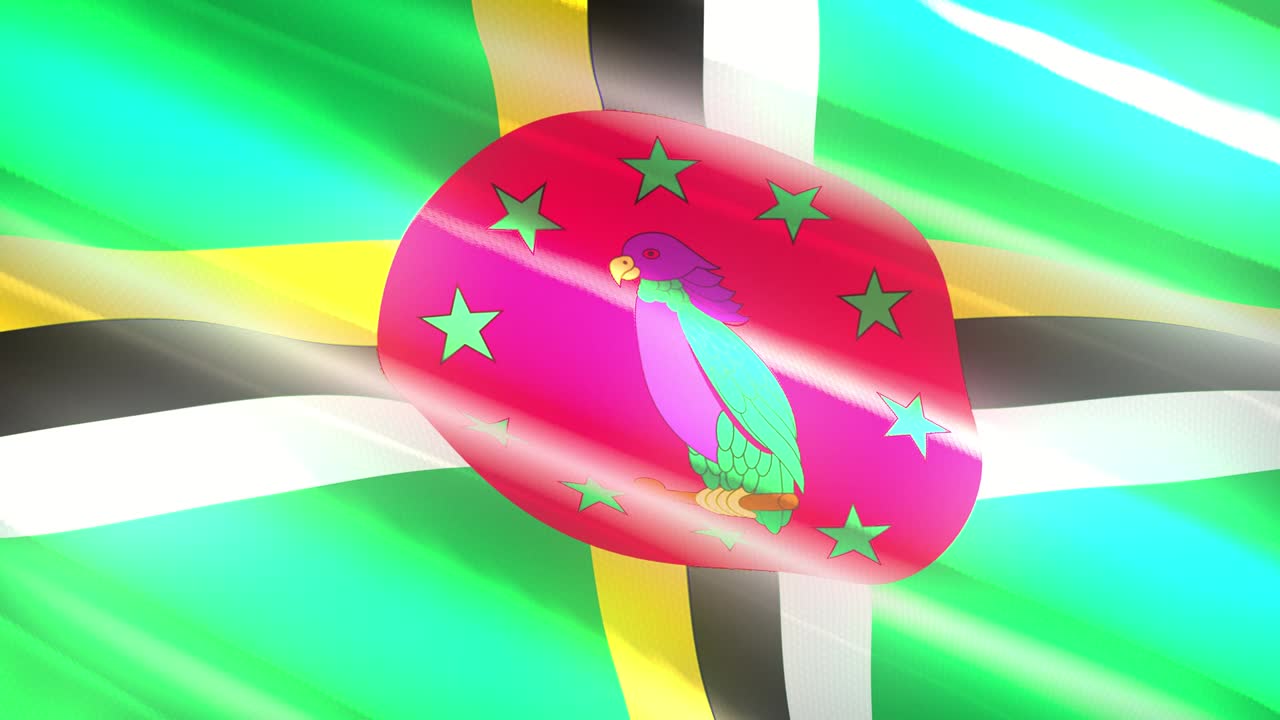 도미니카 휴일 발 - 루프 애니메이션