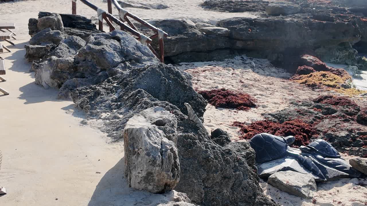 Experience luxury at its finest – stunning b-roll of our unforgettable Xcarte hotel stay. Tour the views, vibes, and elegance in every frame! #Travel #LuxuryHotel #Xcarte