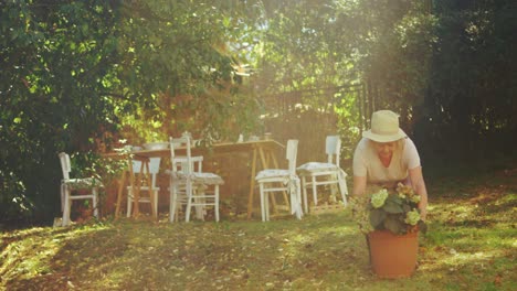 Ältere-Frau-Untersucht-Topfpflanze-Im-Garten