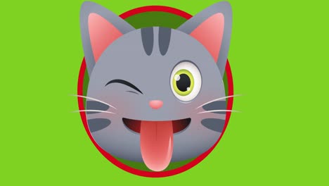 animation of cat icon over green background