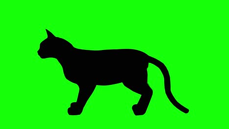 silhouette of a cat meowing, on green screen, side view