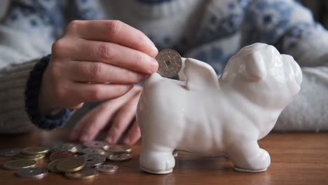 Mujer-Lanza-Muchas-Monedas-En-Una-Caja-De-Dinero-Con-Forma-De-Perro