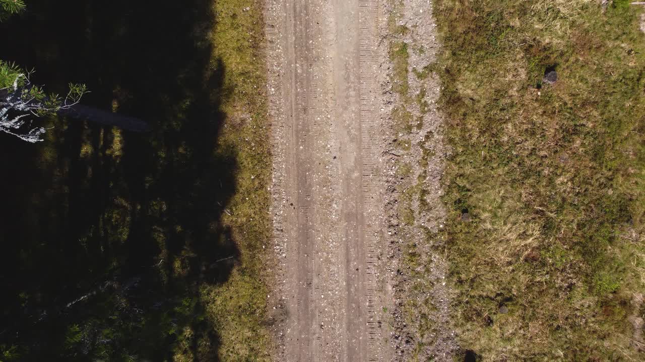 el recorrido por la naturaleza de la isla de hiiumaa: una vista impresionante del sendero forestal con un avión no tripulado - video en 4k