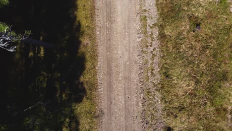 Naturwanderung-Auf-Der-Insel-Hiiumaa:-Atemberaubende-Drohnenansicht-Des-Waldwegs-–-4K-Video