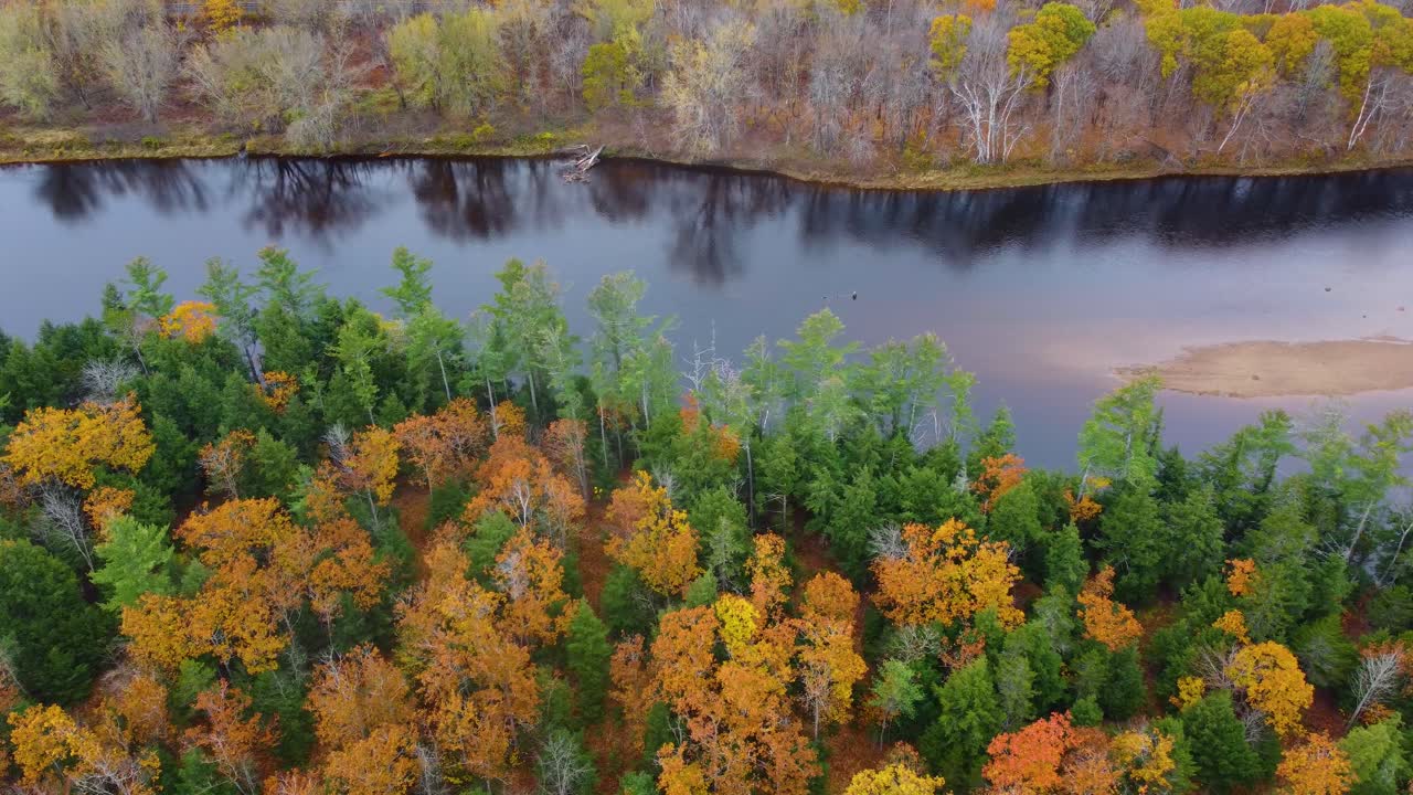 aerial following the path of a northern stream, followed by a descent into the autumn-colored forest
