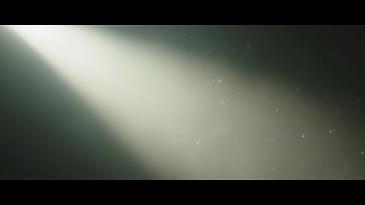 Dust Particles Floating in a Beam of Light