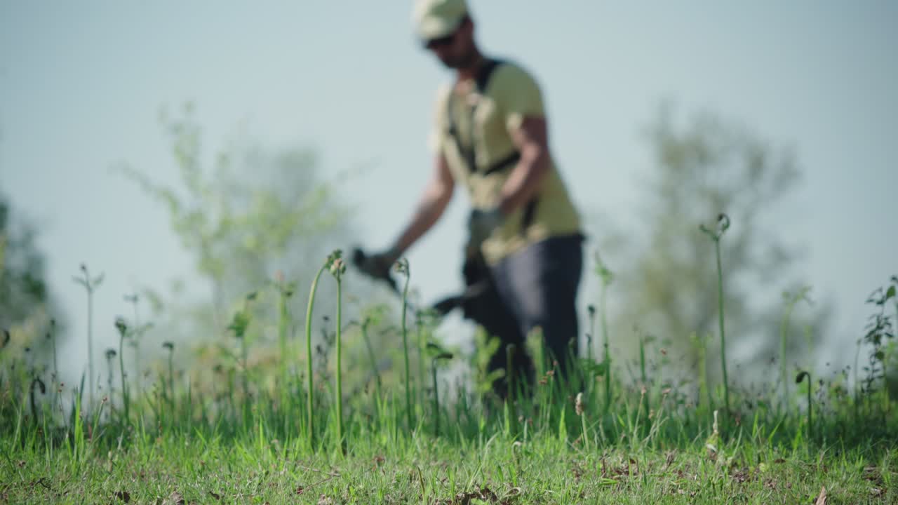 Low angle shot of landscaper using string trimmer cutting grass in sunny field environment