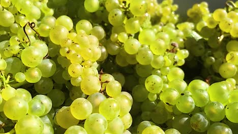 close-up of green grapes