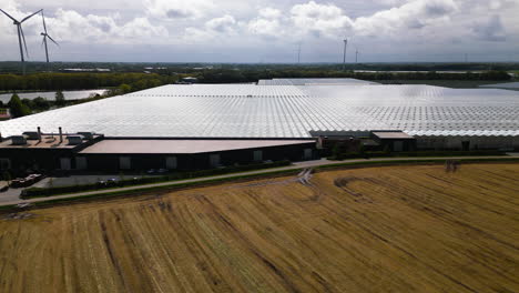 massive tomato plantation inside greenhouses, aerial drone view