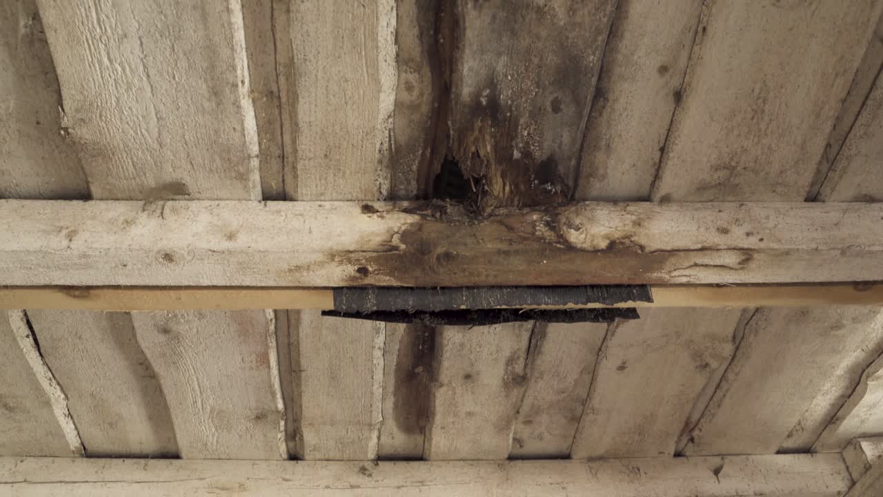 techo de madera con fugas con un enorme agujero y un tablón podrido a la vista