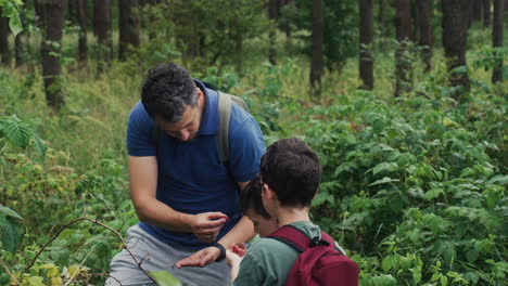 family in the nature