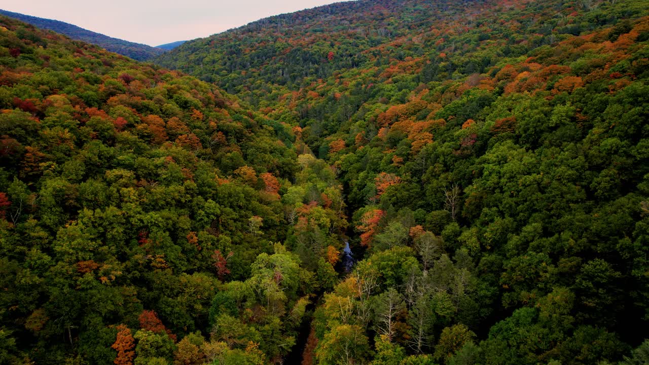 hermosas imágenes de video de drones aéreos de las montañas apalaches en los estados unidos durante el otoño