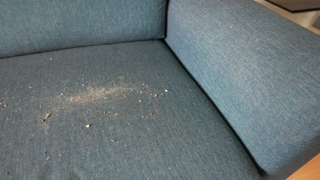 dirty sofa with crumbs