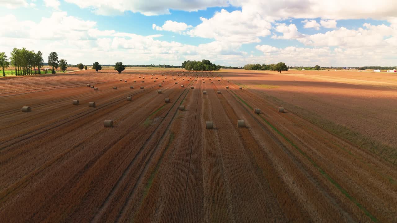 A wide aerial view of a harvested field with neatly arranged hay bales under a bright blue sky filled with fluffy clouds. Ideal for themes related to agriculture, harvest season, and rural landscapes.