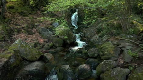 Bellas-Imágenes-De-Un-Río-En-Un-Bosque-Oscuro-Y-Exuberante