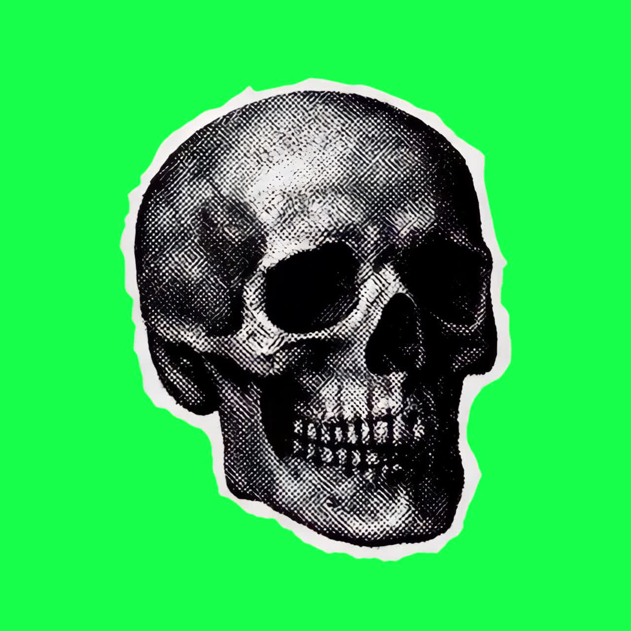 Vintage skull illustration animation, transparent 4K video, green screen