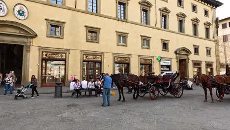 people interacting with horse-drawn carriages