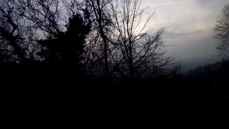 silhouette of landscape seen from bus travel