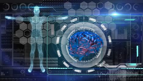 Animation-of-scopes-scanning,-human-body-and-data-processing-on-digital-screen