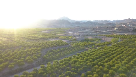 Flying-above-the-farms-in-the-spring