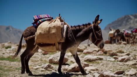 a resilient donkey navigating rugged terrain with a weighted burden, symbolizing hard work and endurance in the heart of nature