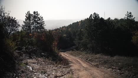 一條山上的泥路穿過樹木