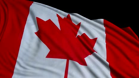 flag of canada waving at wind