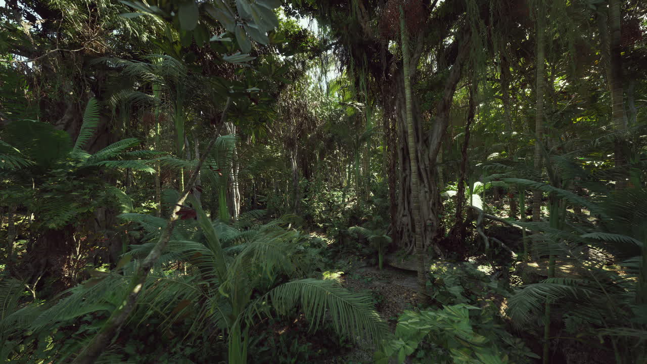 La rigogliosa foresta pluviale