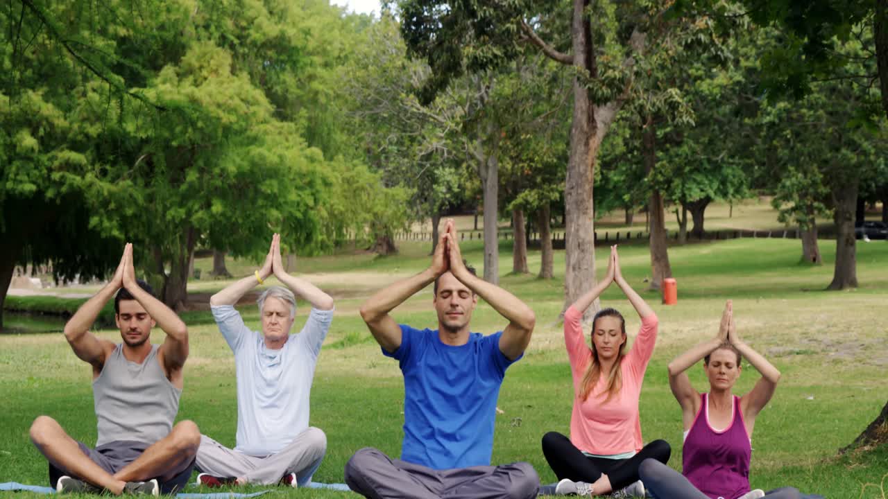 grupo de personas realizando ejercicios de yoga en el parque