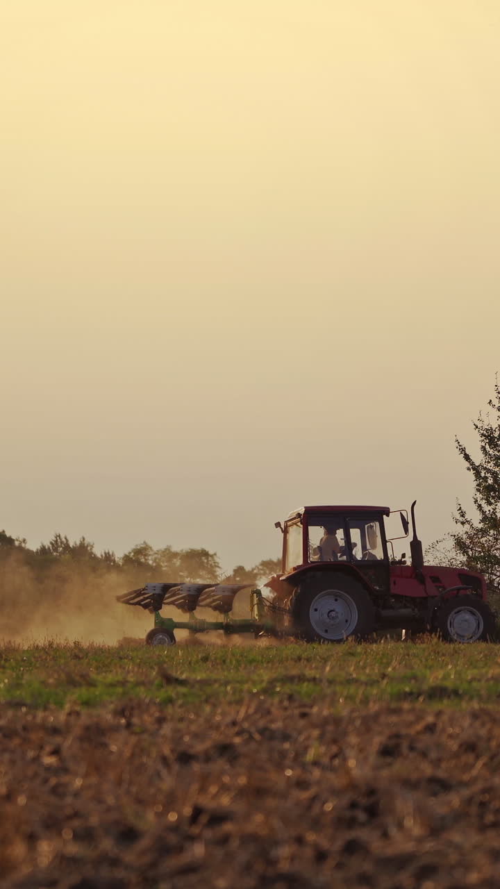 Tractor in the field in rural place. Agricultural machinery on the soil during seasonal works. Tractor cultivates the ground in the evening. Vertical video