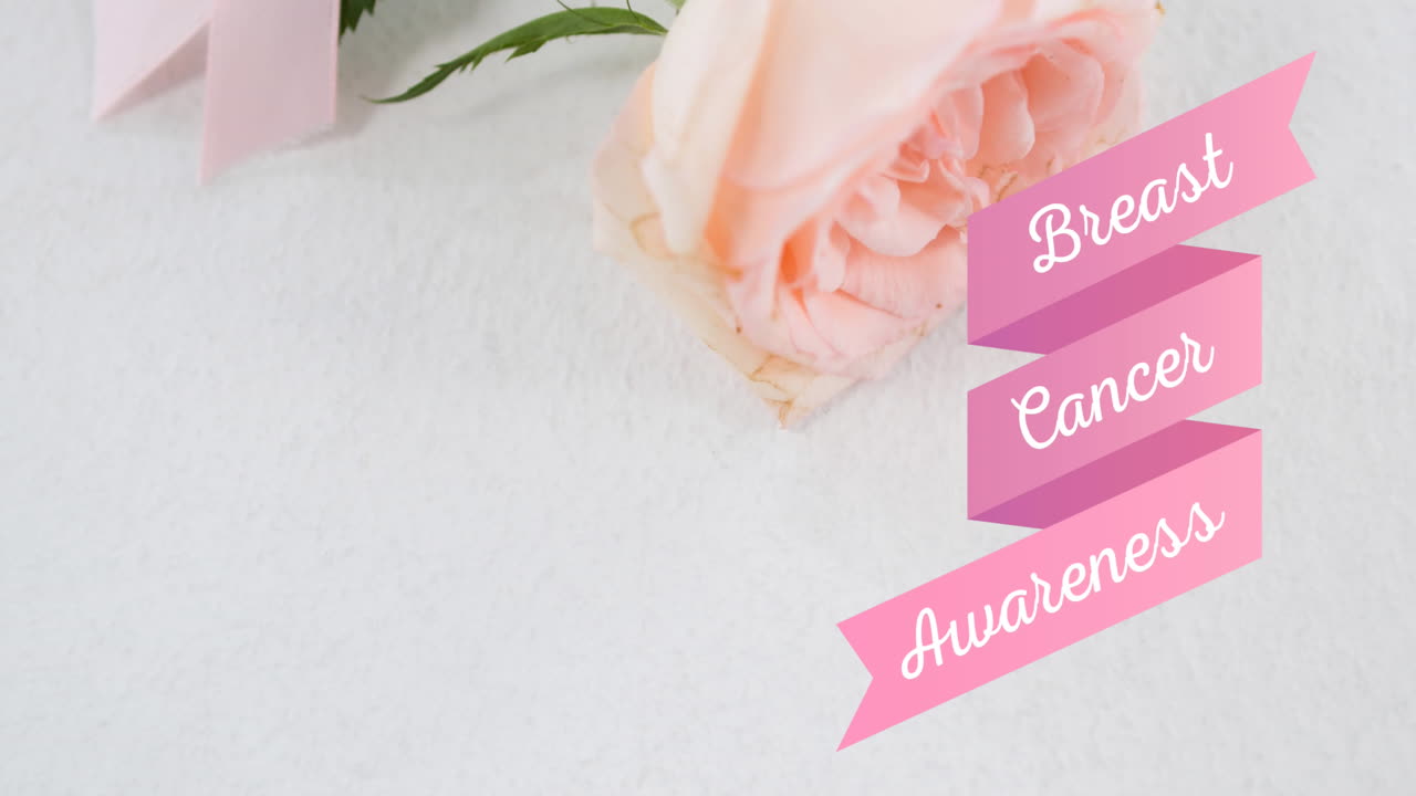 ⁇  장미 위에 있는 유방암 인식 텍스트의 애니메이션