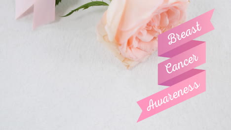 animation of breast cancer awareness text over white rose