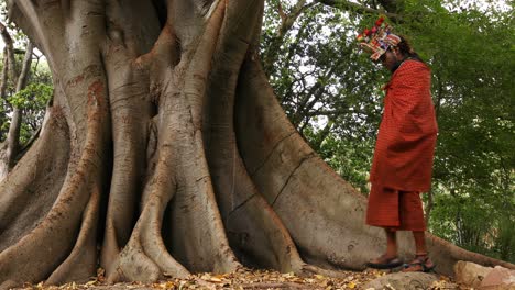 tribal man relaxing under a tree 4k