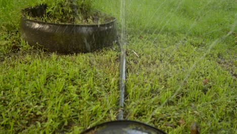 hose leaky watering system, sprinkler watering grass lawn and flower pots