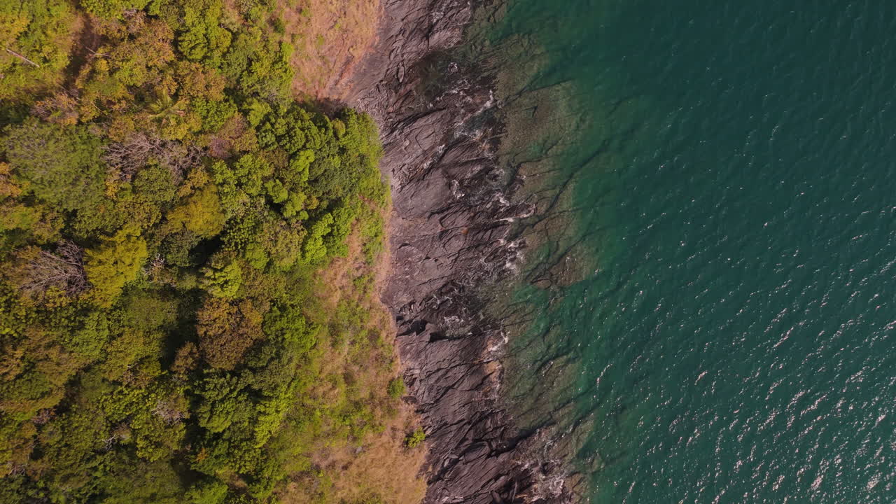 Coastal Landscape with Forest and Ocean