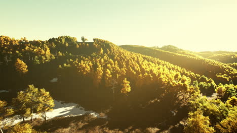 colorful mountains range in autumn season with red orange and golden foliage