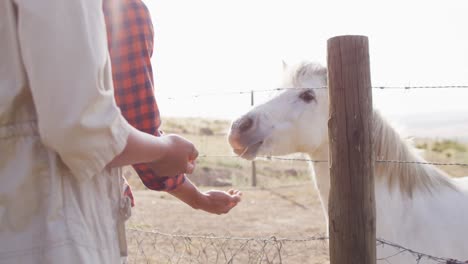 Happy-african-american-couple-feeding-horse-together-on-sunny-day,-slow-motion