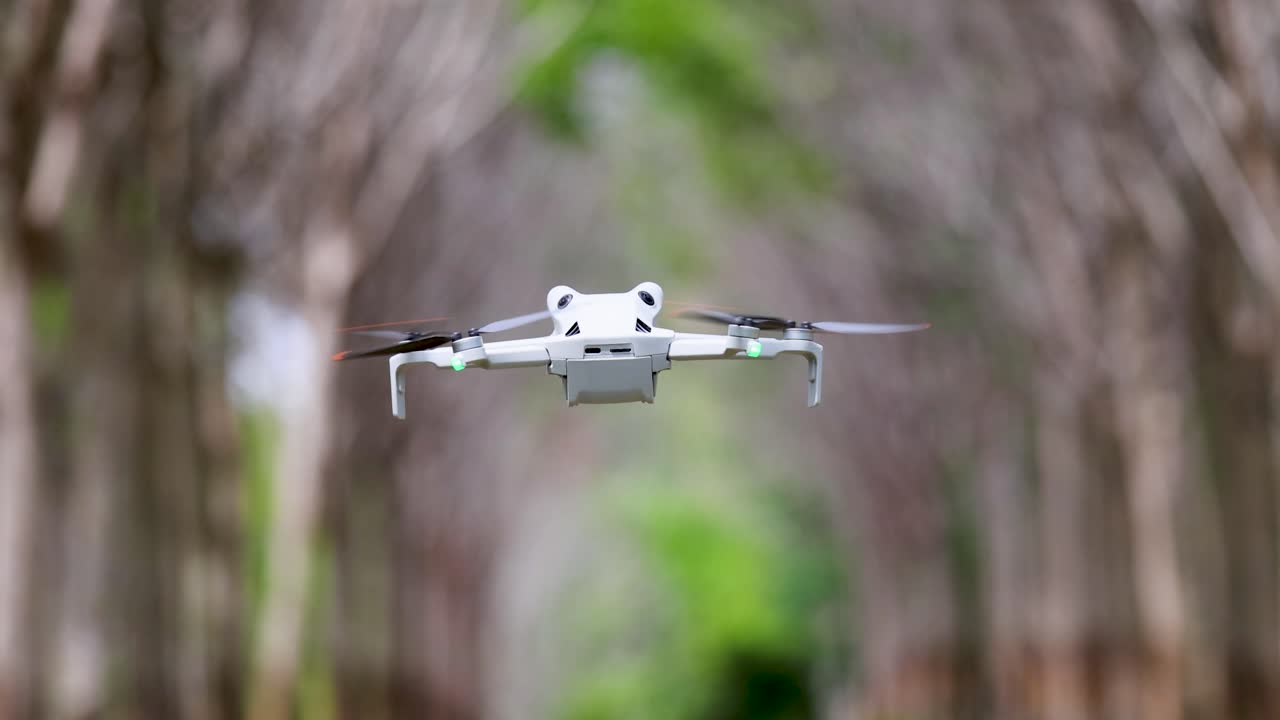 A drone hovers steadily along a tree-lined path in Phuket, Thailand, captured with smooth camera movement and natural lighting