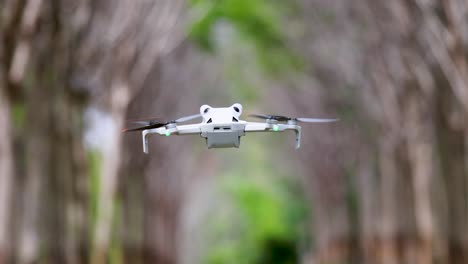 a drone hovers steadily along a tree-lined path in phuket, thailand, captured with smooth camera movement and natural lighting