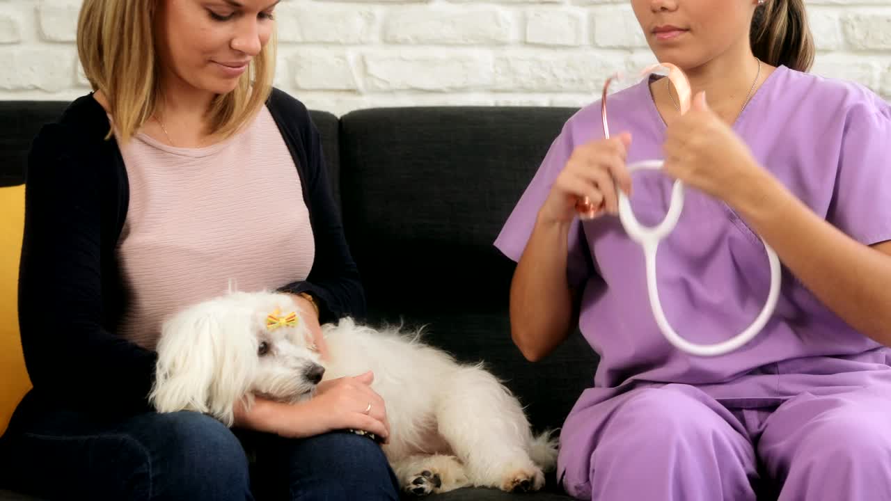 집 방문 수의사와 수의사 개 소유자 및 병든 애완동물