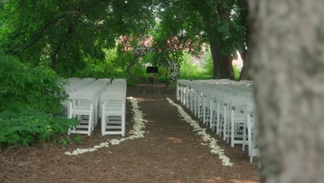 la cámara se centra desde el árbol de primer plano hasta el lugar de la boda en el bosque vacío